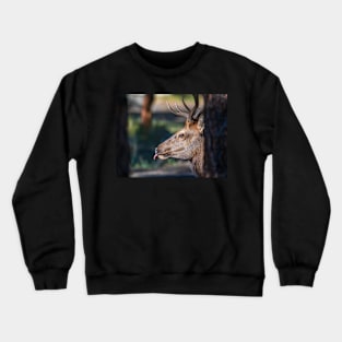 Through the trees Crewneck Sweatshirt